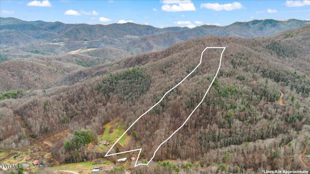 Tbd Stockton Road, Flag Pond, Tennessee image 3