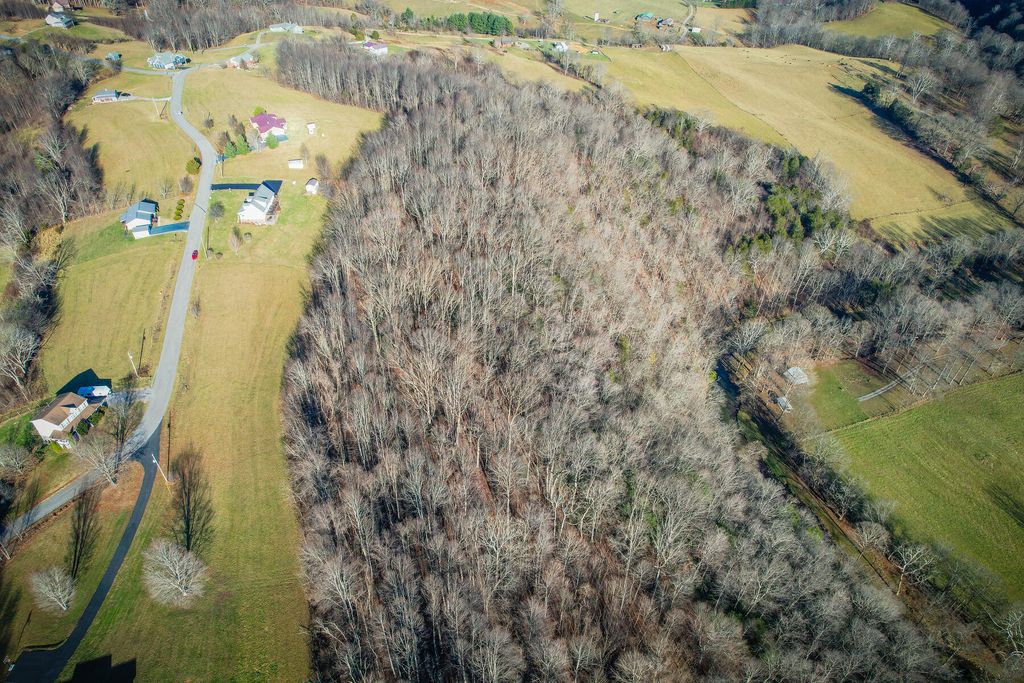 Photo of Tbd Scenic Elk Garden Drive, Lebanon, VA 24266 (MLS # 9959843)