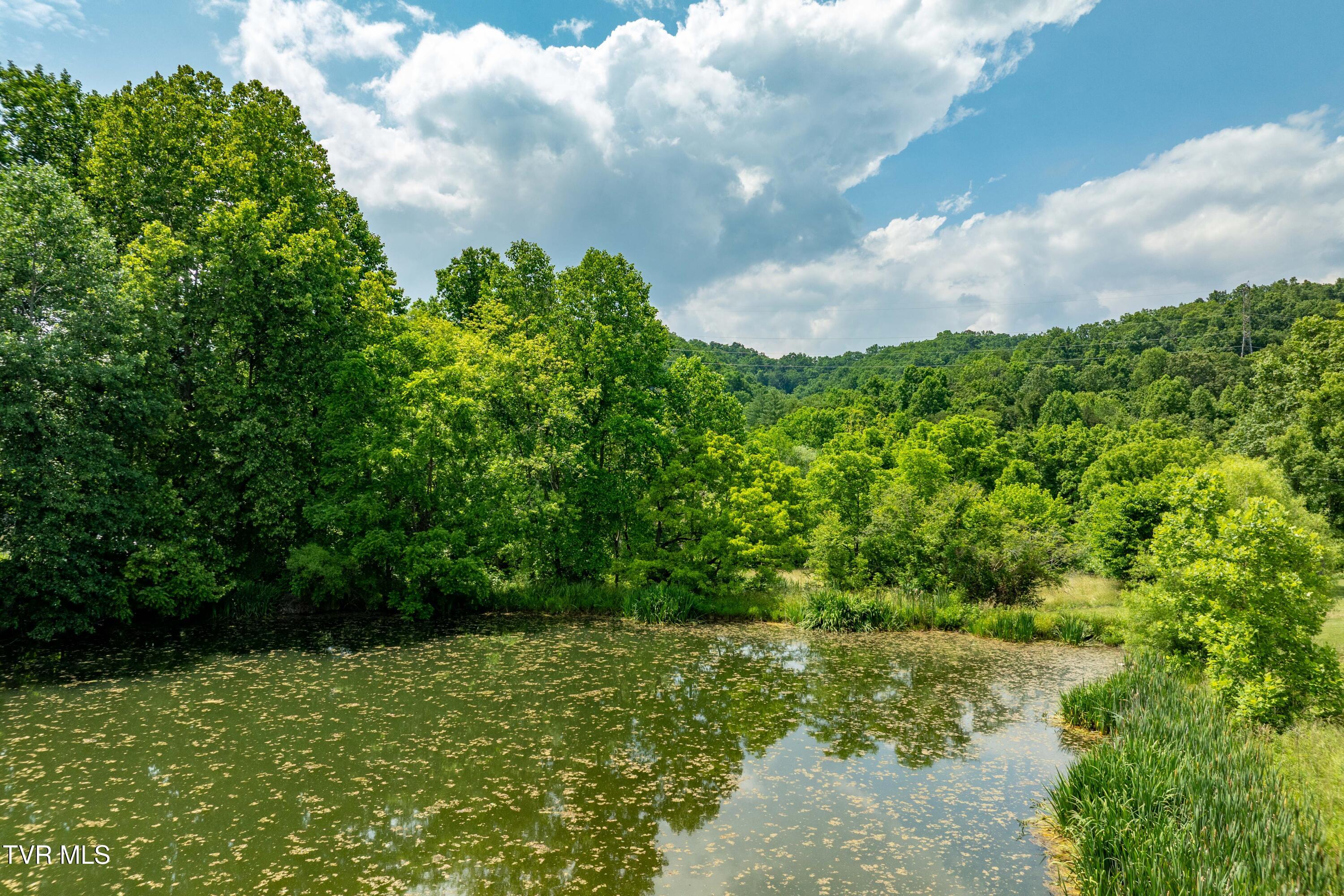 2898 Watauga Road, Johnson City, Tennessee image 28