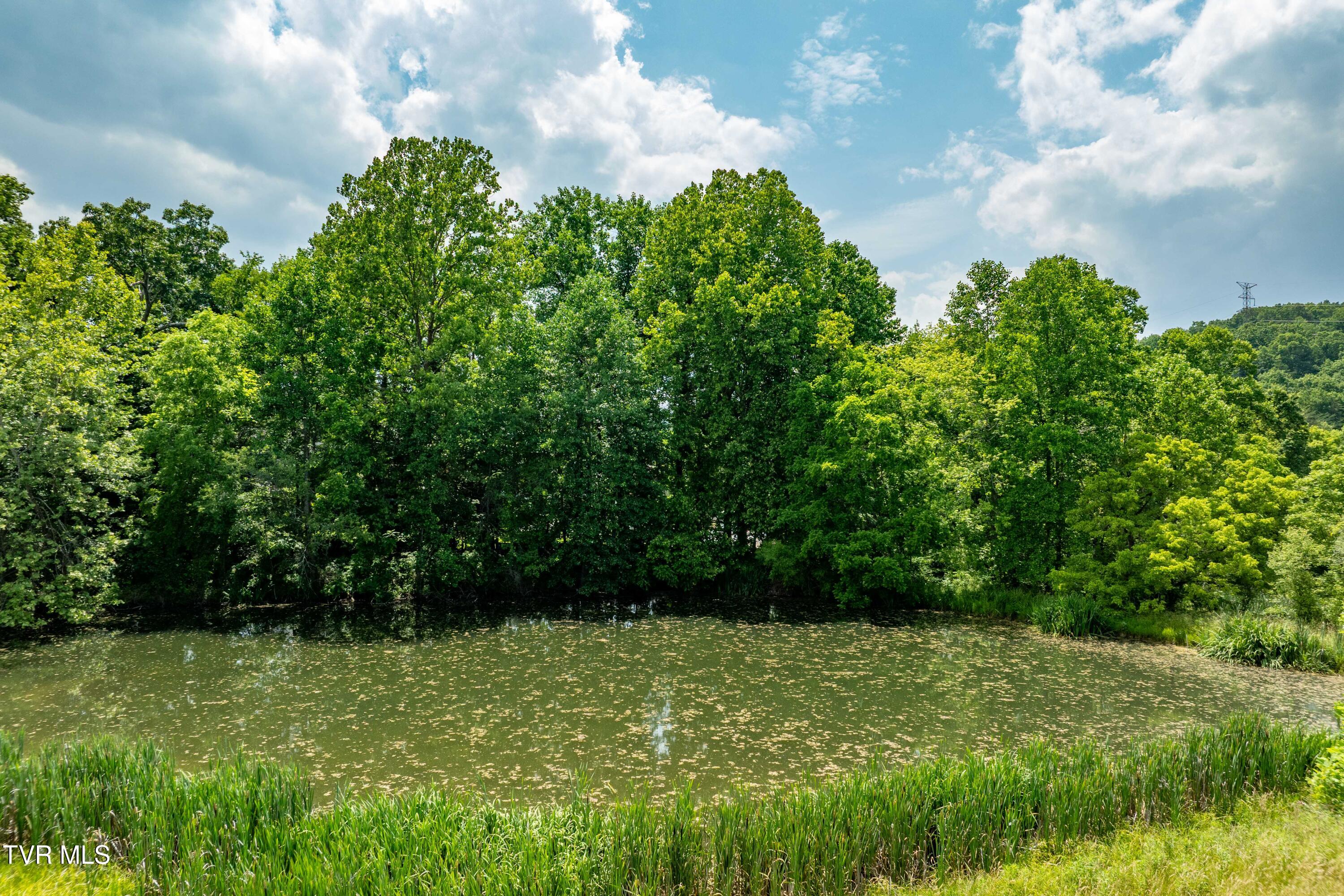 2898 Watauga Road, Johnson City, Tennessee image 27
