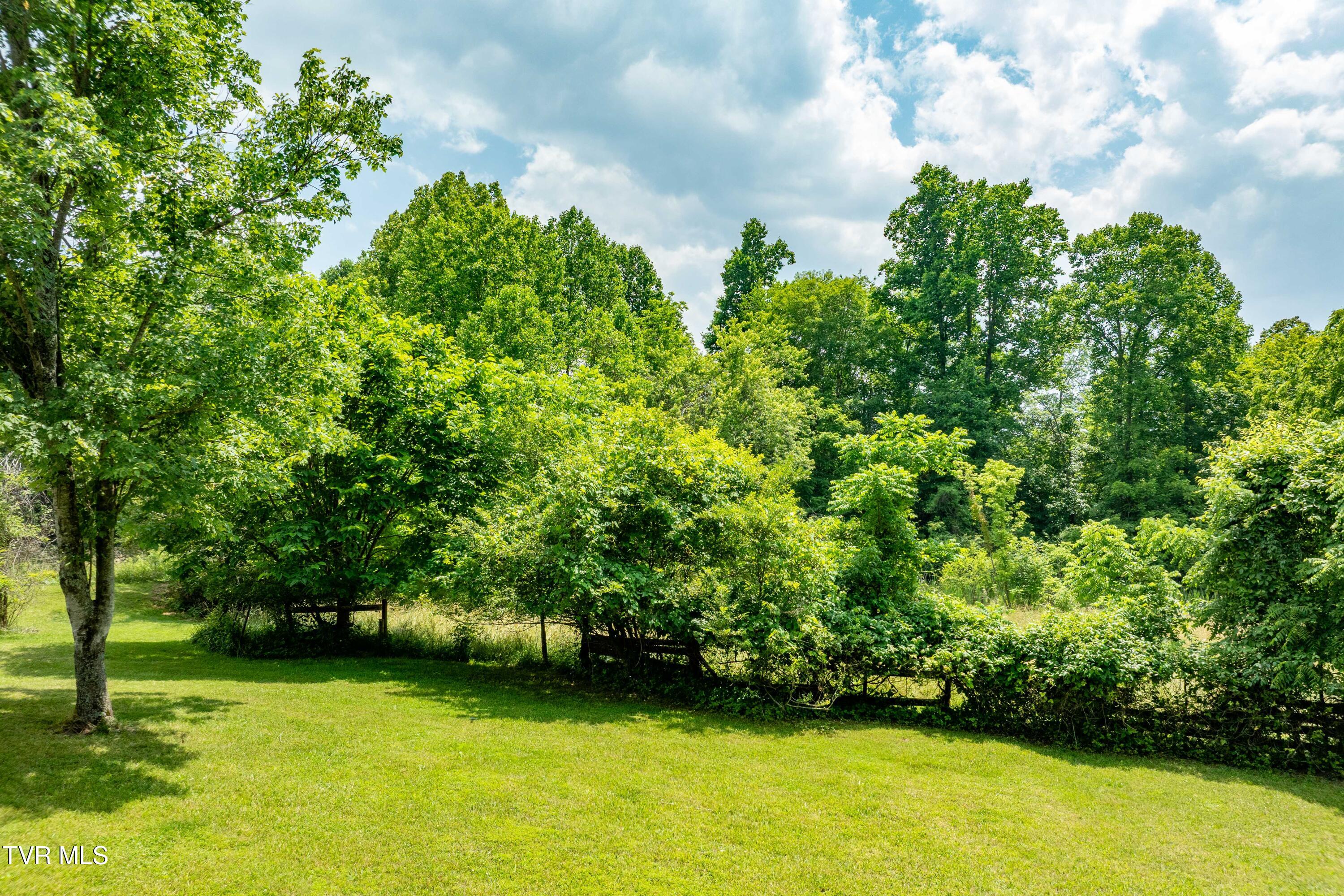 2898 Watauga Road, Johnson City, Tennessee image 31