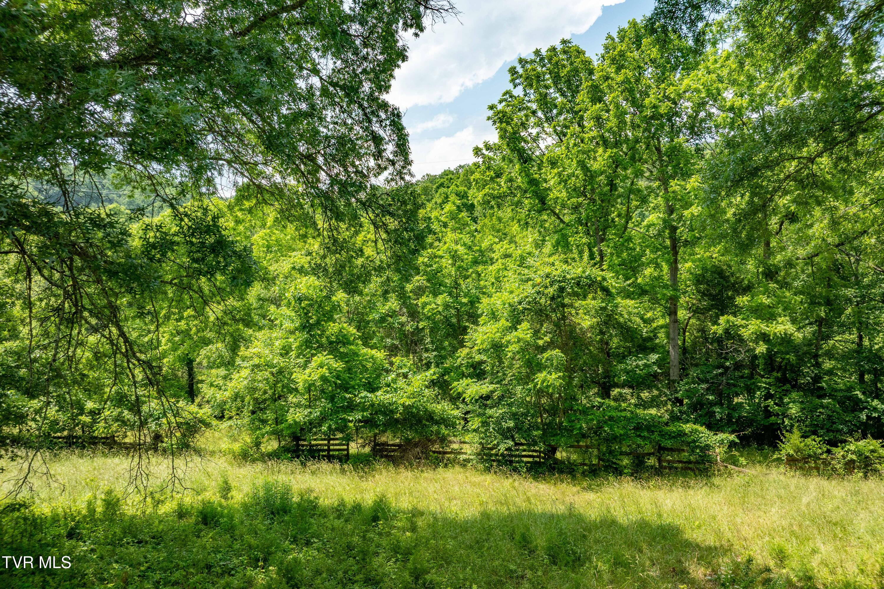 2898 Watauga Road, Johnson City, Tennessee image 32