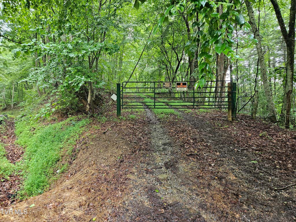 Photo of Tbd Jaybird Branch Road, Coeburn, VA 24230 (MLS # 9998532)