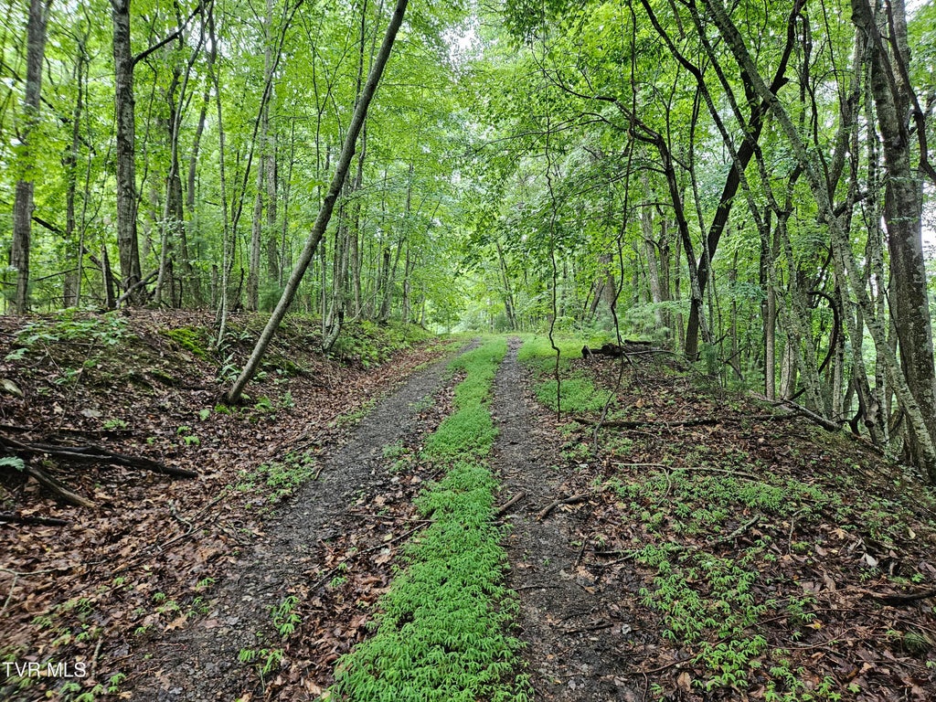 Photo of Tbd Jaybird Branch Road, Coeburn, VA 24230 (MLS # 9998532)