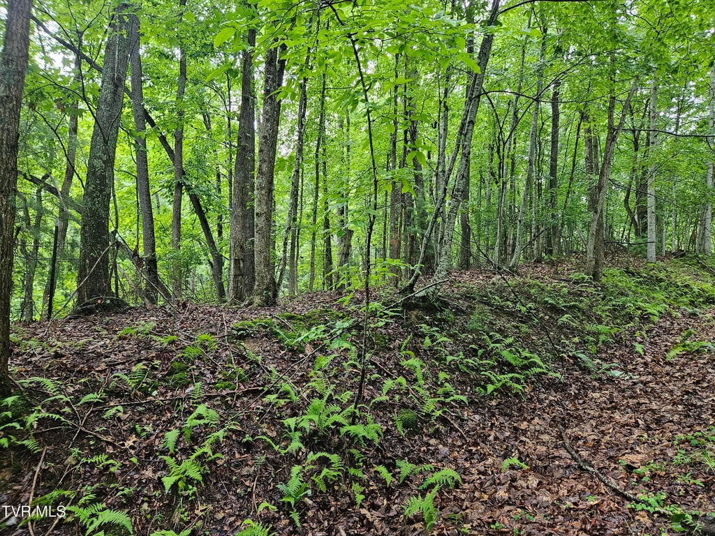 Photo of Tbd Jaybird Branch Road, Coeburn, VA 24230 (MLS # 9998532)