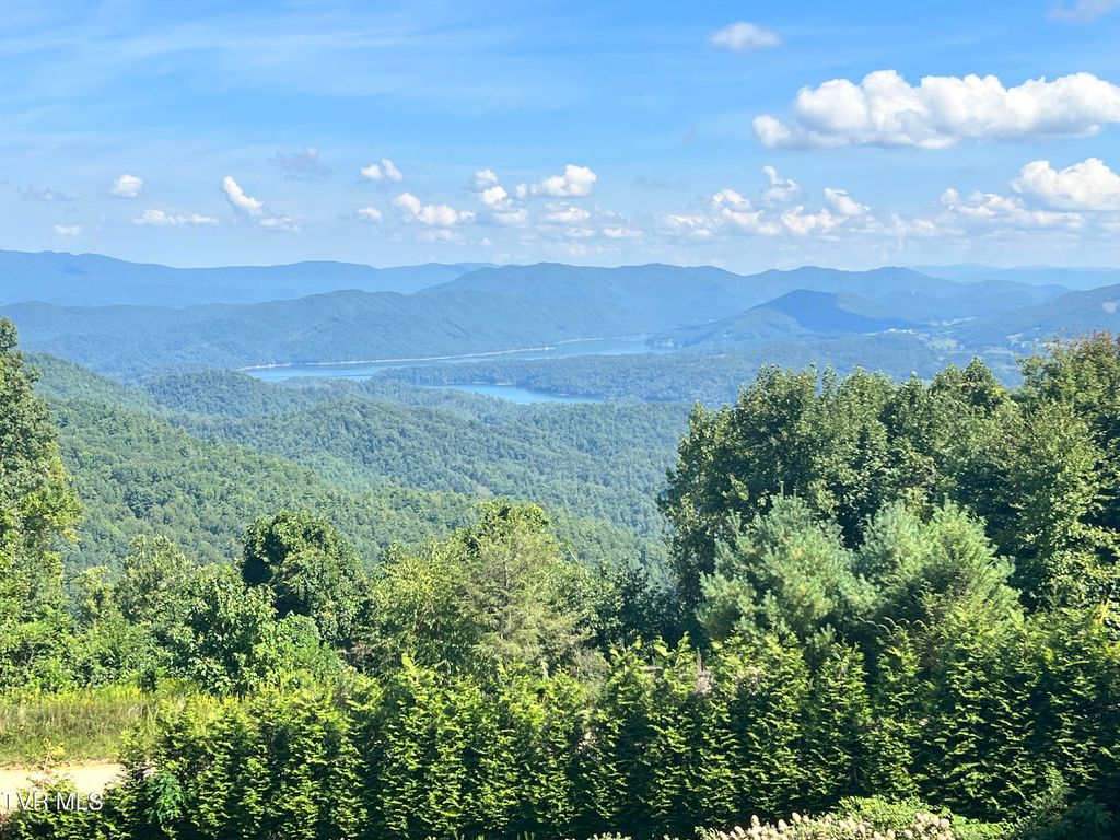 Photo of Tbd Tulip Poplar Trail Extension, Butler, TN 37640 (MLS # 9989343)