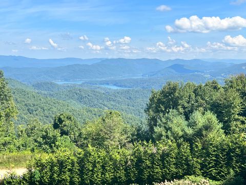 Vacant Land For Sale - TBD Tulip Poplar Trail Extension<br/> Carter County, Butler, TN 37640