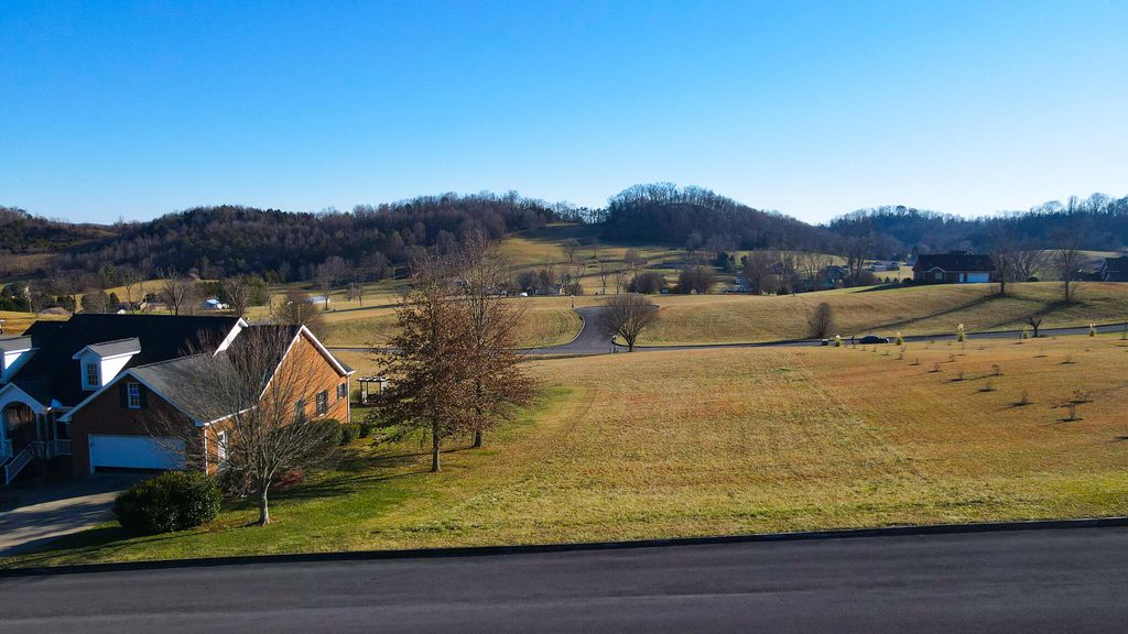 Photo of 74 Walnut Grove Drive, Church Hill, TN 37642 (MLS # 9933620)