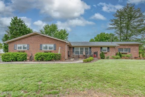 Photo of 5404 Orebank Road, Kingsport, TN 37664 (MLS # 9995252)