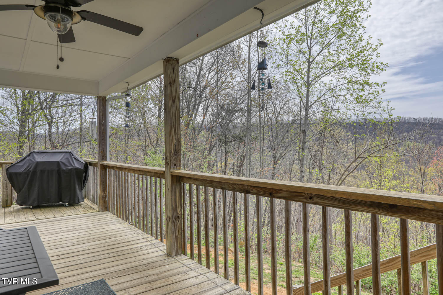 7538/7300 Snake Hollow Road, Sneedville, Tennessee image 7