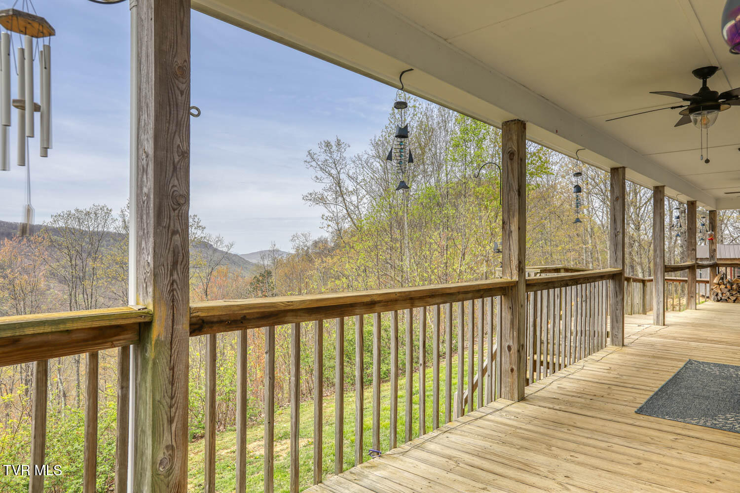 7538/7300 Snake Hollow Road, Sneedville, Tennessee image 8