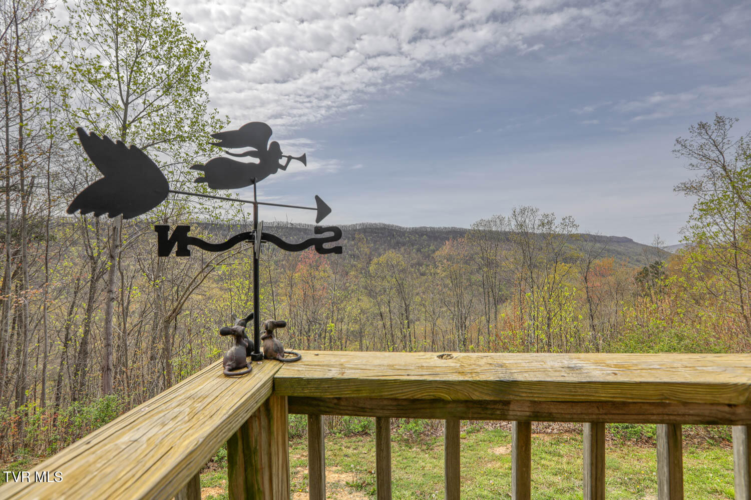 7538/7300 Snake Hollow Road, Sneedville, Tennessee image 9
