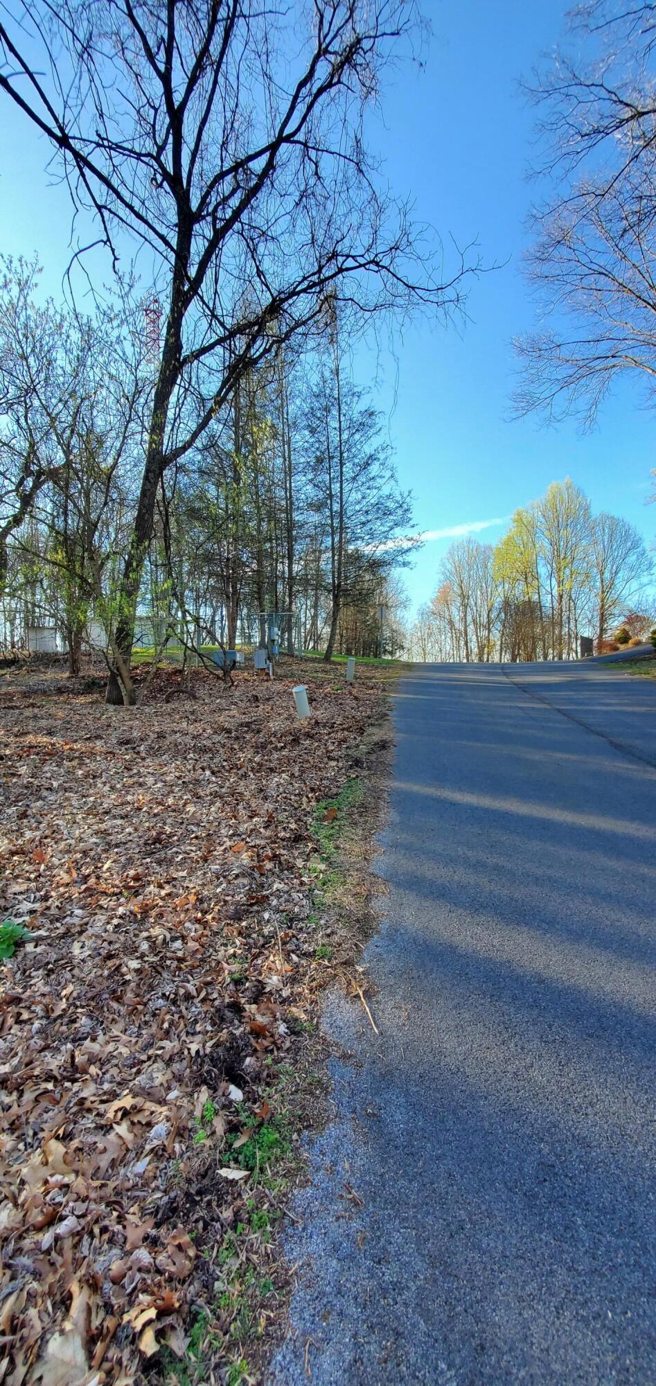 Foxfire Lane, Kingsport, Tennessee image 5