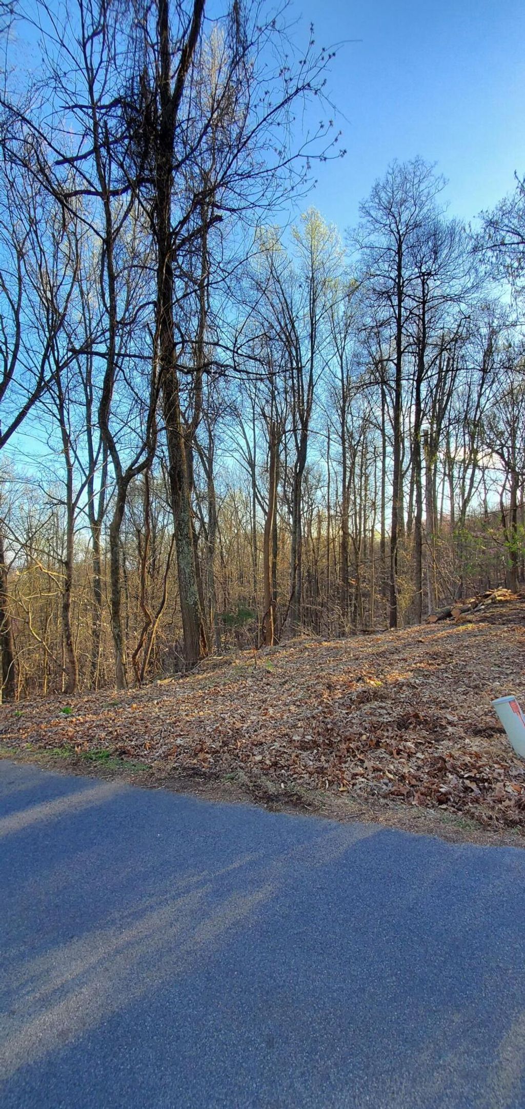 Photo of 0 Foxfire Lane, Kingsport, TN 37664 (MLS # 9950005)