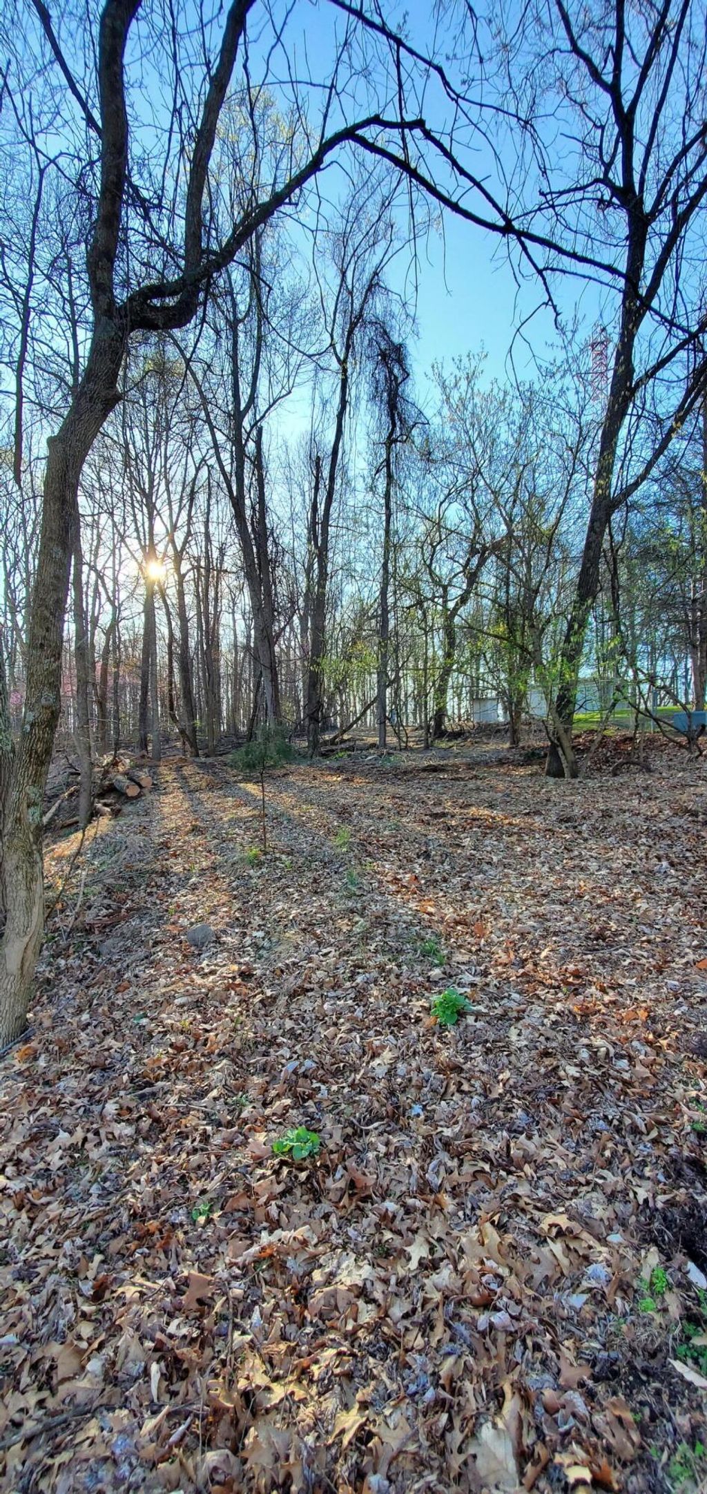 Photo of 0 Foxfire Lane, Kingsport, TN 37664 (MLS # 9950005)