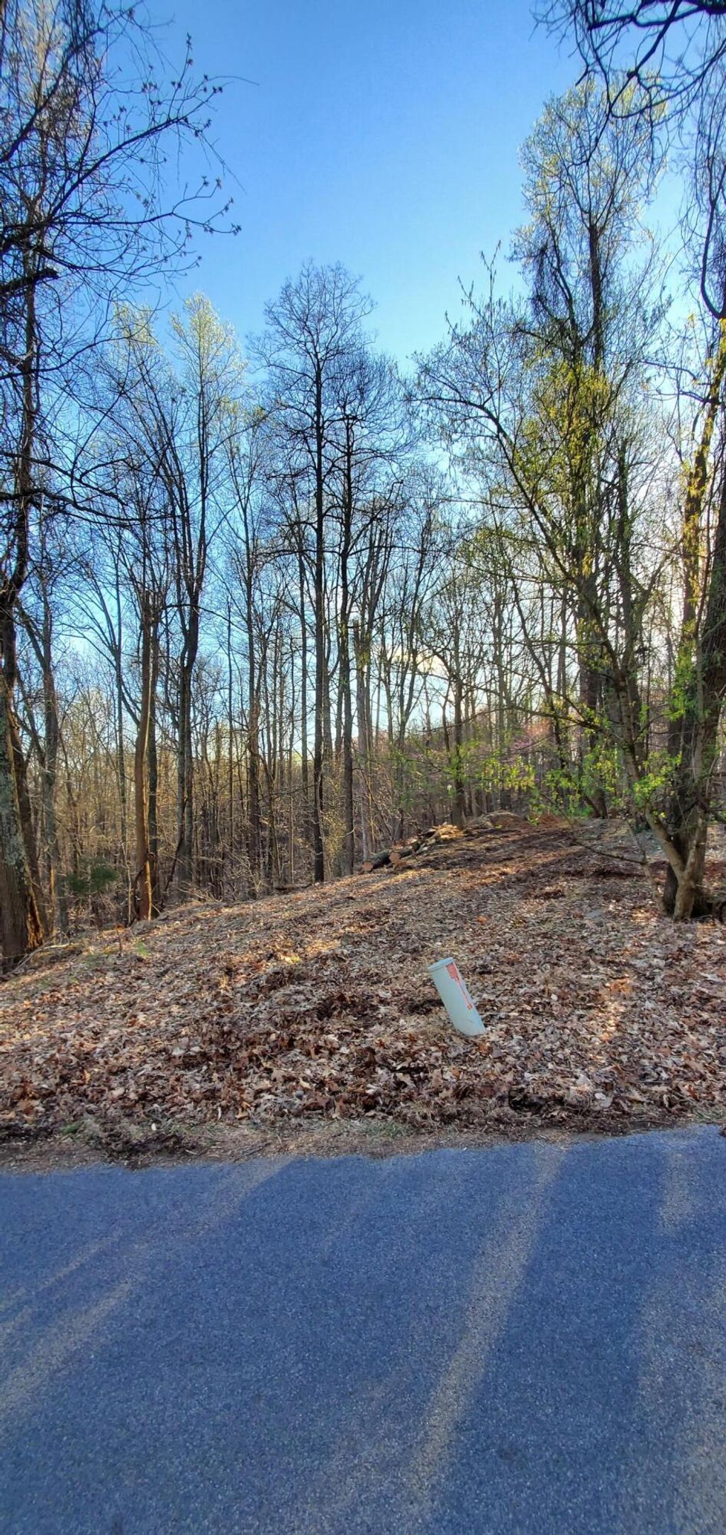 Photo of 0 Foxfire Lane, Kingsport, TN 37664 (MLS # 9950005)