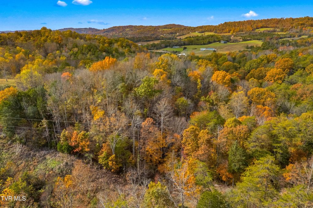 Photo of 853 Twin Ponds Lane, Thorn Hill, TN 37881 (MLS # 9987921)