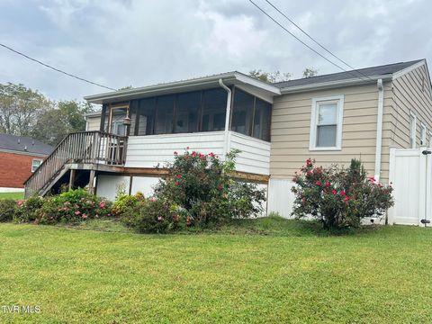 Tiny photo for 2461 Bradley Street, Bristol, VA 24201 (MLS # 9986305)