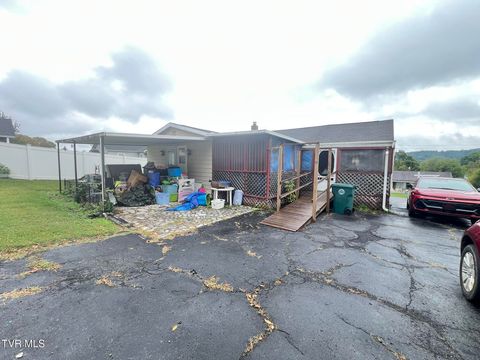 Tiny photo for 2461 Bradley Street, Bristol, VA 24201 (MLS # 9986305)