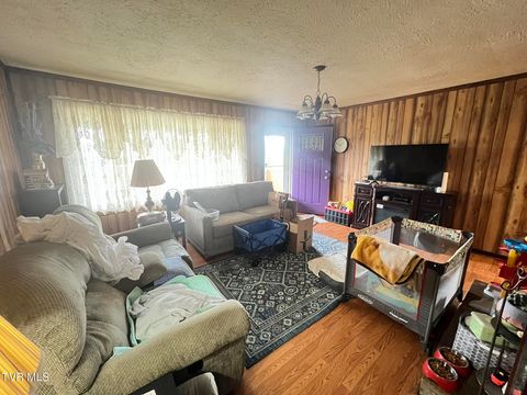 Tiny photo for 2461 Bradley Street, Bristol, VA 24201 (MLS # 9986305)