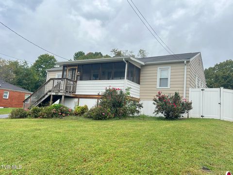 Tiny photo for 2461 Bradley Street, Bristol, VA 24201 (MLS # 9986305)