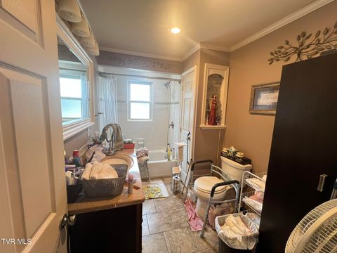 Tiny photo for 2461 Bradley Street, Bristol, VA 24201 (MLS # 9986305)
