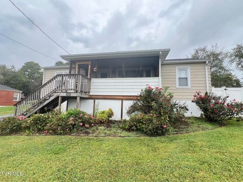 Tiny photo for 2461 Bradley Street, Bristol, VA 24201 (MLS # 9986305)