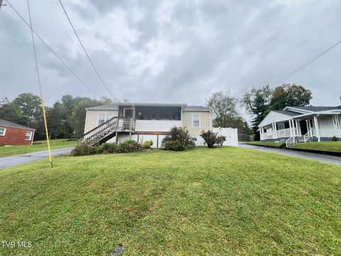 Tiny photo for 2461 Bradley Street, Bristol, VA 24201 (MLS # 9986305)