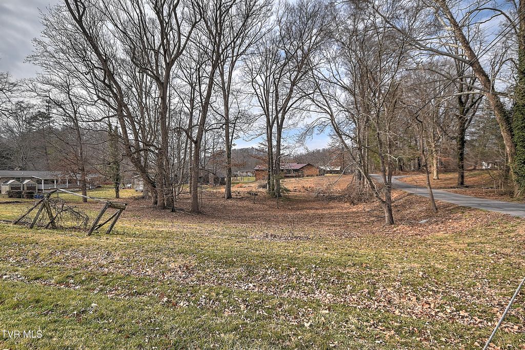 Photo of Tbd Pamela Court, Blountville, TN 37617 (MLS # 9991693)