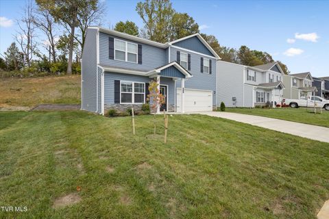 Tiny photo for 1031 Tomahawk Terrace Terrace, Johnson City, TN 37604 (MLS # 9986397)