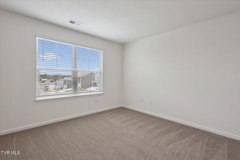 Tiny photo for 1031 Tomahawk Terrace Terrace, Johnson City, TN 37604 (MLS # 9986397)
