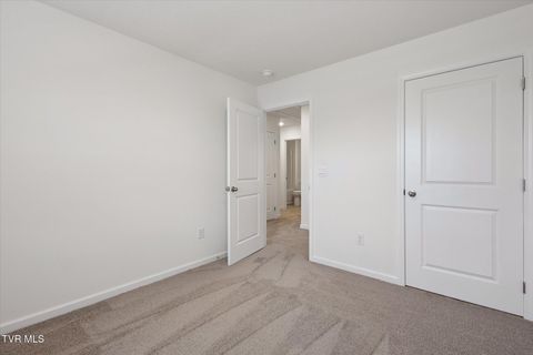 Tiny photo for 1031 Tomahawk Terrace Terrace, Johnson City, TN 37604 (MLS # 9986397)