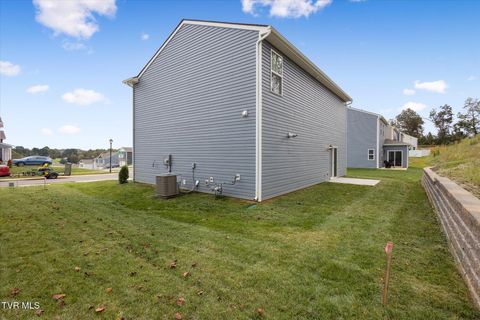 Tiny photo for 1031 Tomahawk Terrace Terrace, Johnson City, TN 37604 (MLS # 9986397)