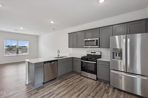 Tiny photo for 1031 Tomahawk Terrace Terrace, Johnson City, TN 37604 (MLS # 9986397)