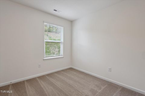 Tiny photo for 1031 Tomahawk Terrace Terrace, Johnson City, TN 37604 (MLS # 9986397)