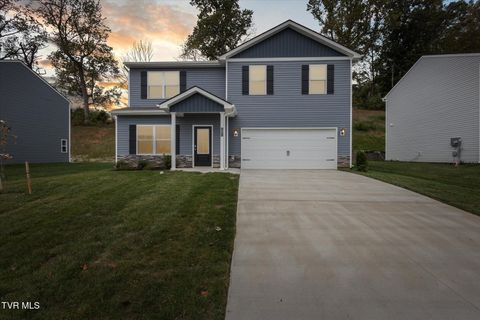 Tiny photo for 1031 Tomahawk Terrace Terrace, Johnson City, TN 37604 (MLS # 9986397)