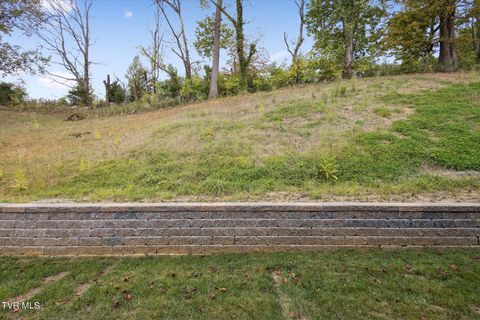 Tiny photo for 1031 Tomahawk Terrace Terrace, Johnson City, TN 37604 (MLS # 9986397)