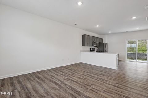 Tiny photo for 1031 Tomahawk Terrace Terrace, Johnson City, TN 37604 (MLS # 9986397)