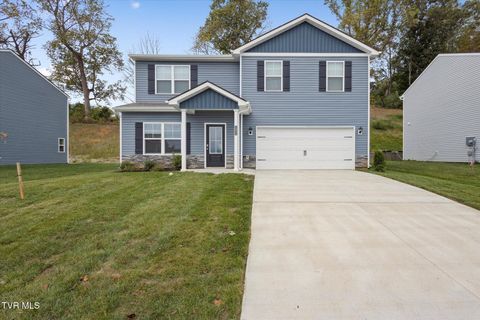 Tiny photo for 1031 Tomahawk Terrace Terrace, Johnson City, TN 37604 (MLS # 9986397)
