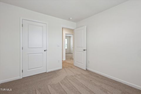 Tiny photo for 1031 Tomahawk Terrace Terrace, Johnson City, TN 37604 (MLS # 9986397)