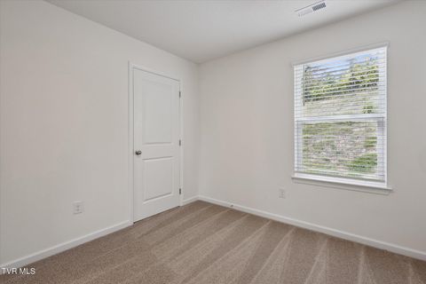 Tiny photo for 1031 Tomahawk Terrace Terrace, Johnson City, TN 37604 (MLS # 9986397)