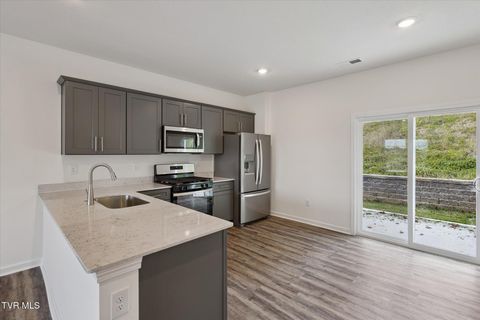 Tiny photo for 1031 Tomahawk Terrace Terrace, Johnson City, TN 37604 (MLS # 9986397)