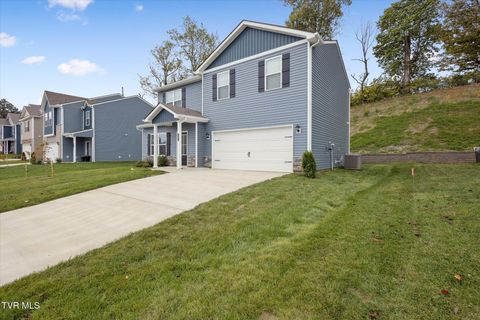 Tiny photo for 1031 Tomahawk Terrace Terrace, Johnson City, TN 37604 (MLS # 9986397)