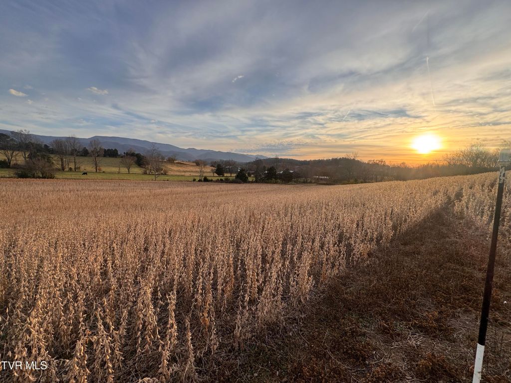 Photo of 0 Pleasant Hill Road, Chuckey, TN 37641 (MLS # 9990477)