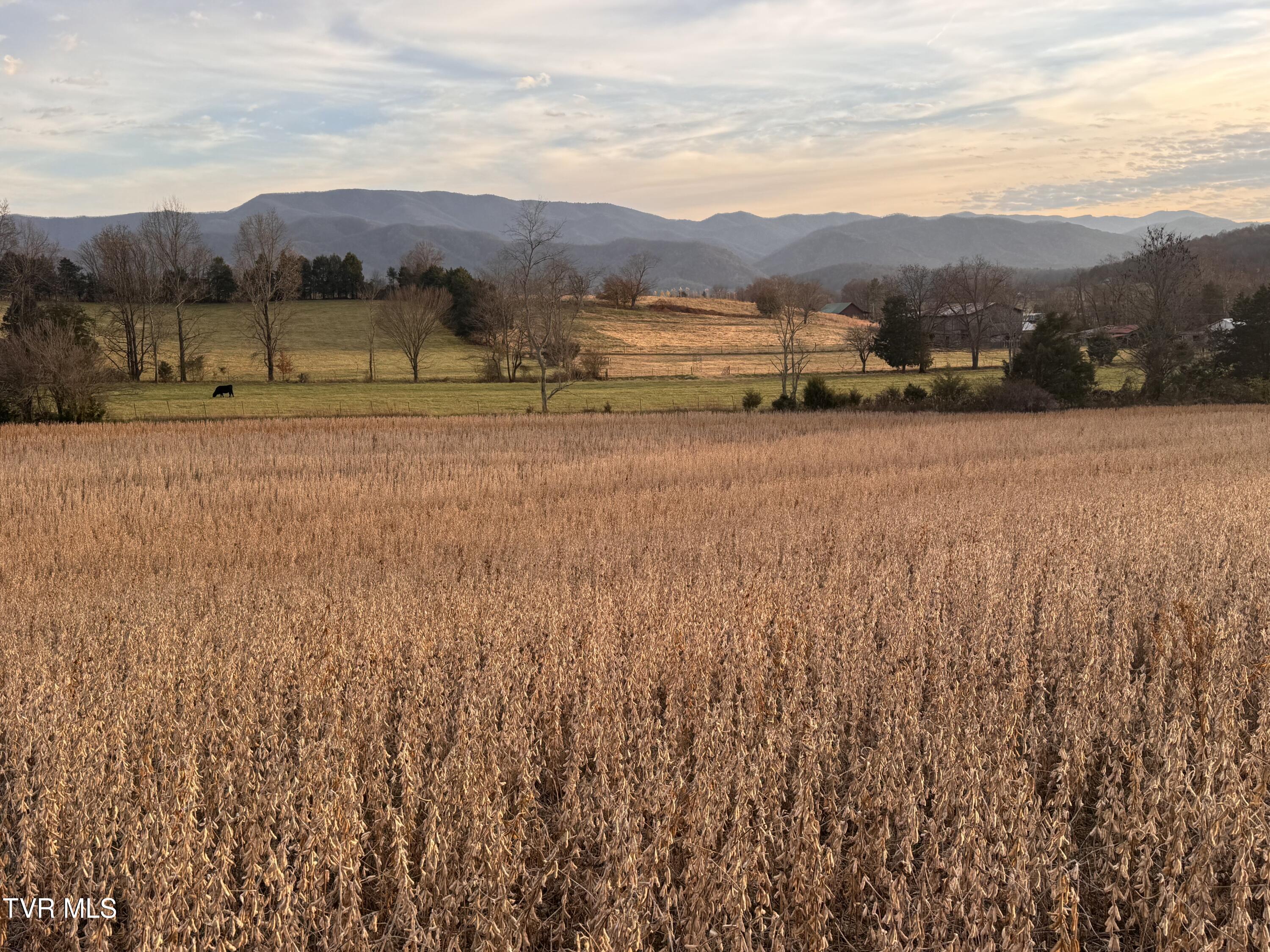 0 Pleasant Hill Road