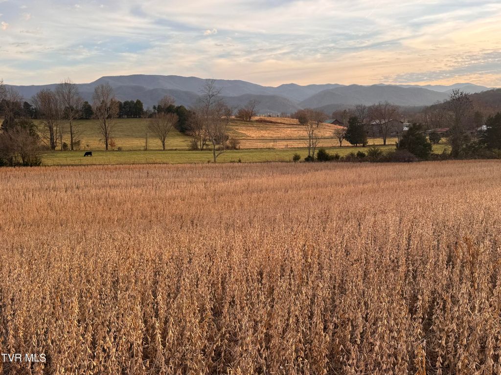 Photo of 0 Pleasant Hill Road, Chuckey, TN 37641 (MLS # 9990477)