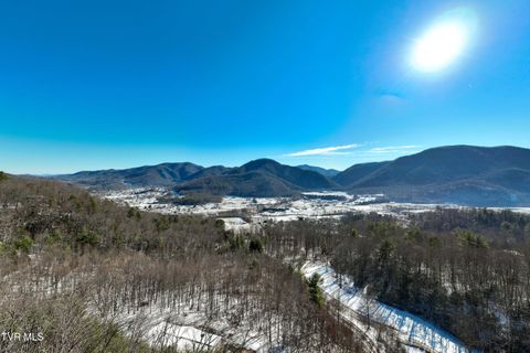 Vacant Land For Sale - TBD Kaitlyn Road<br/> Carter County, Hampton, TN 37658