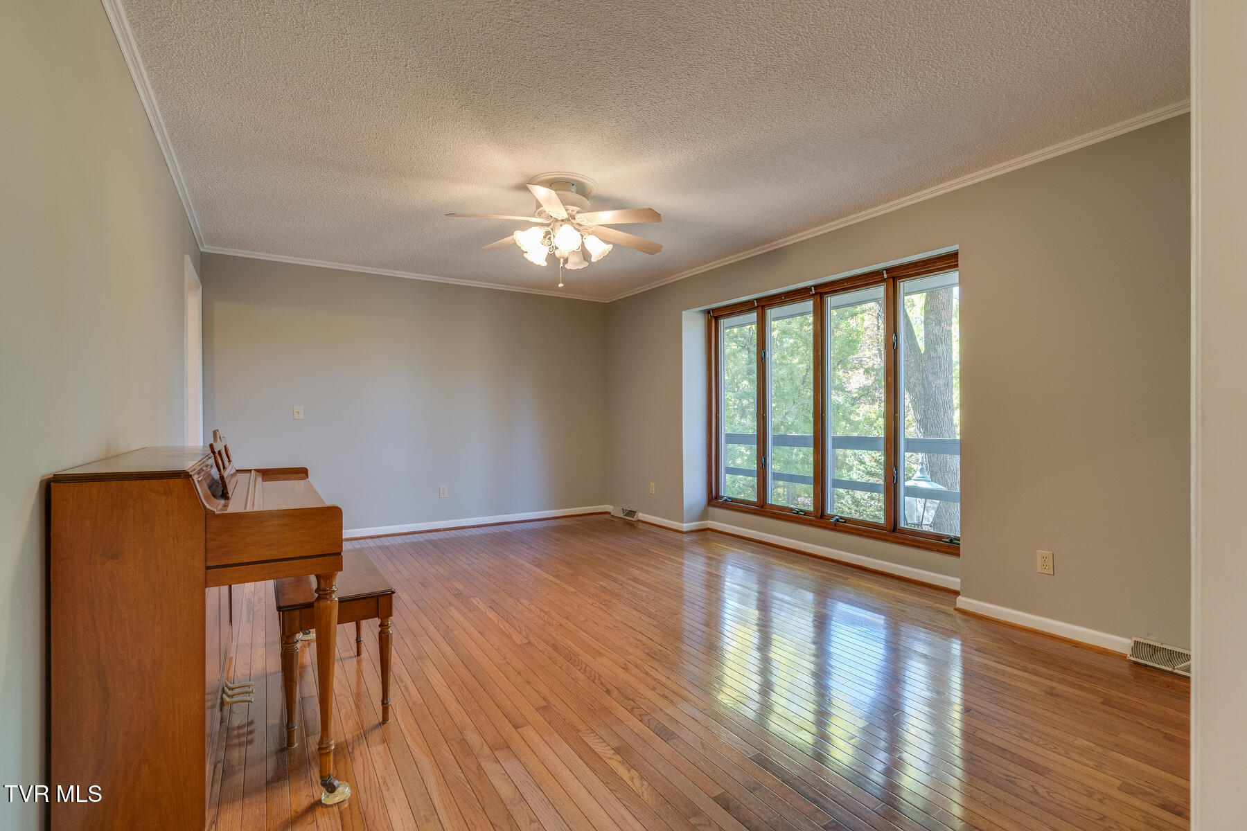 5753 Chestnut Hills Drive, Kingsport, Tennessee image 5