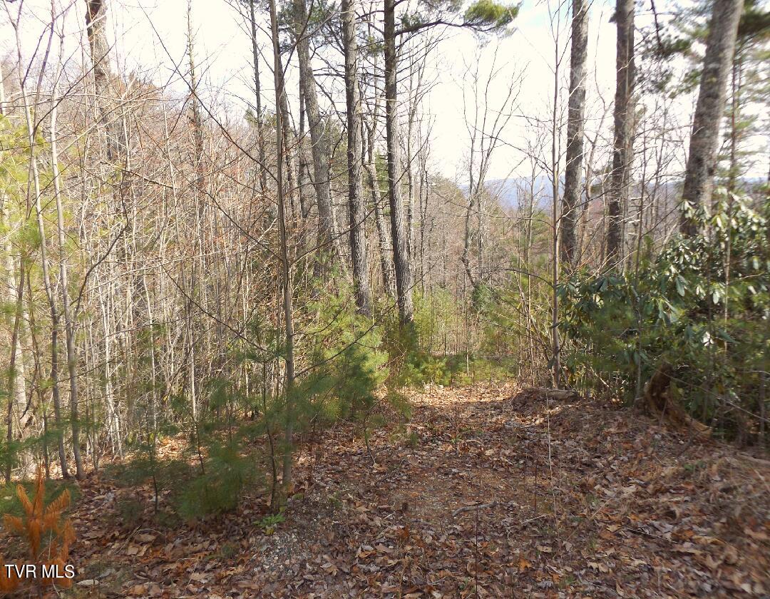 401 Chestnut Lot 54 Circle, Butler, Tennessee image 2