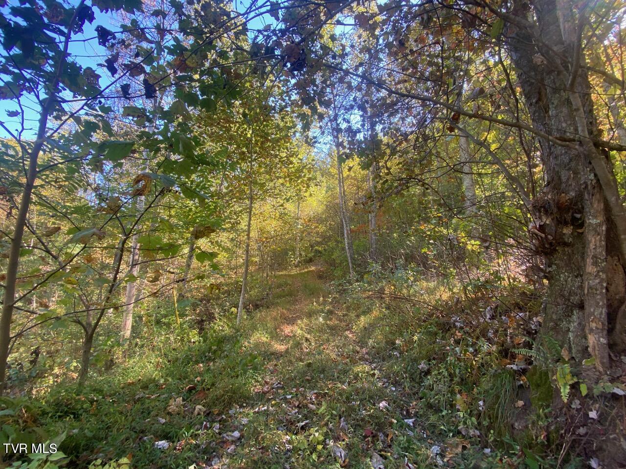 421 Grouse Run Road, Sneedville, Tennessee image 2